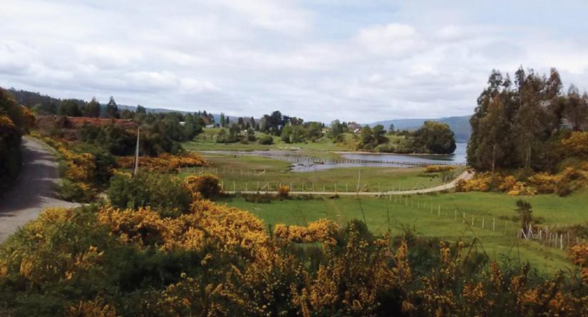 Hostel Isla Del Rey Valdivia Eksteriør bilde